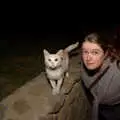 Isobel finds a cat, Tenuta Il Palazzo in Arezzo, Tuscany, Italy - 22nd July 2008