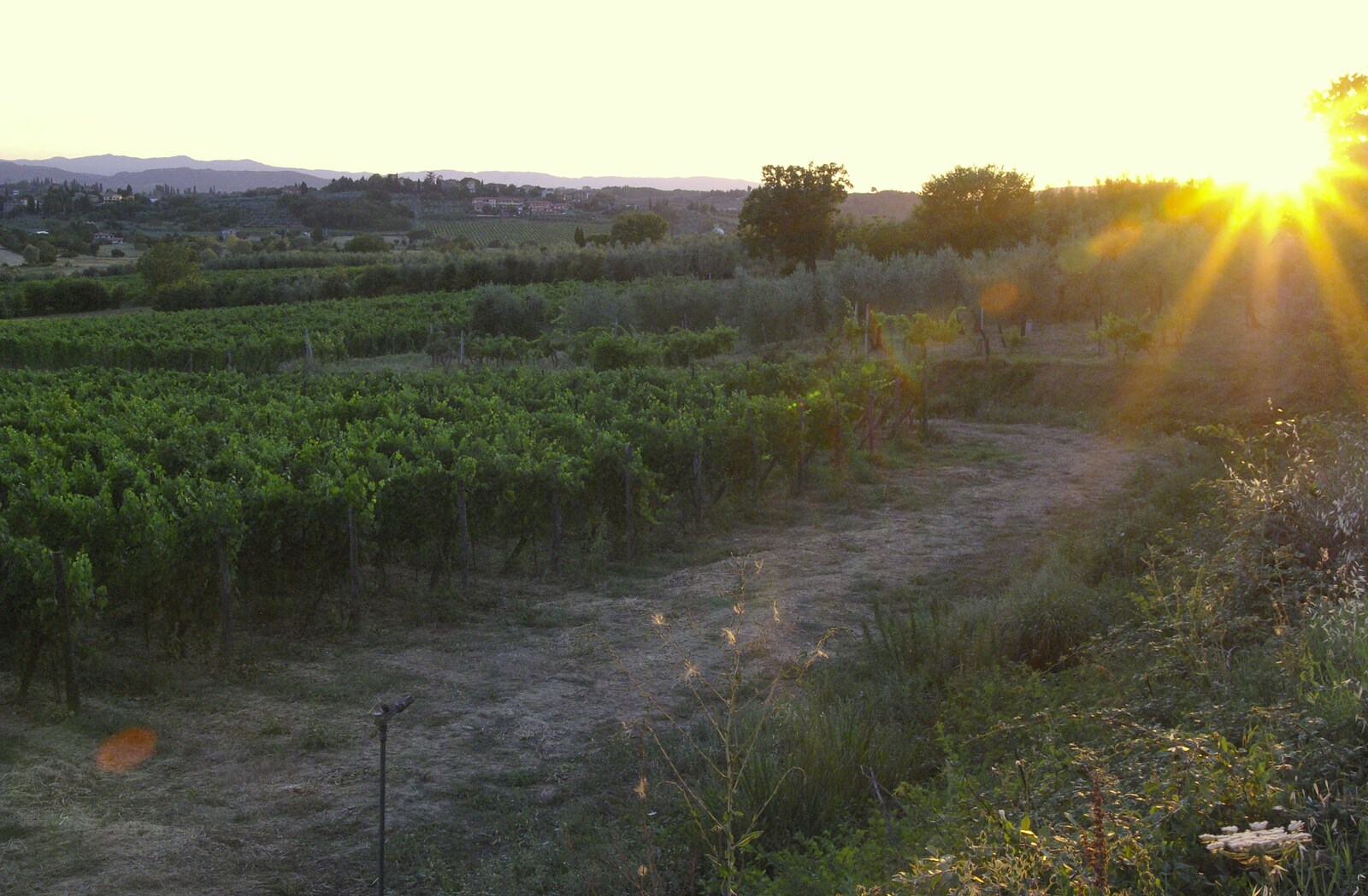 Sunset over the vineyards from Tenuta Il Palazzo in Arezzo, Tuscany, Italy - 22nd July 2008