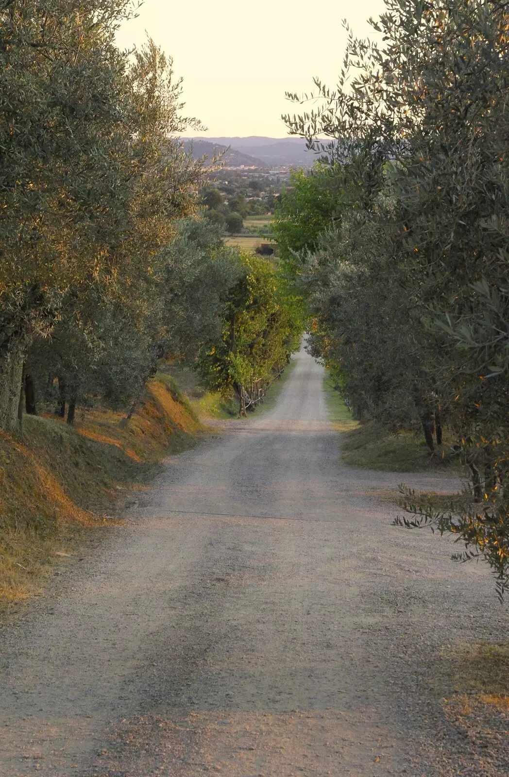 A view down the road to Arezzo, from Tenuta Il Palazzo in Arezzo, Tuscany, Italy - 22nd July 2008