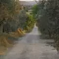 A view down the road to Arezzo, Tenuta Il Palazzo in Arezzo, Tuscany, Italy - 22nd July 2008