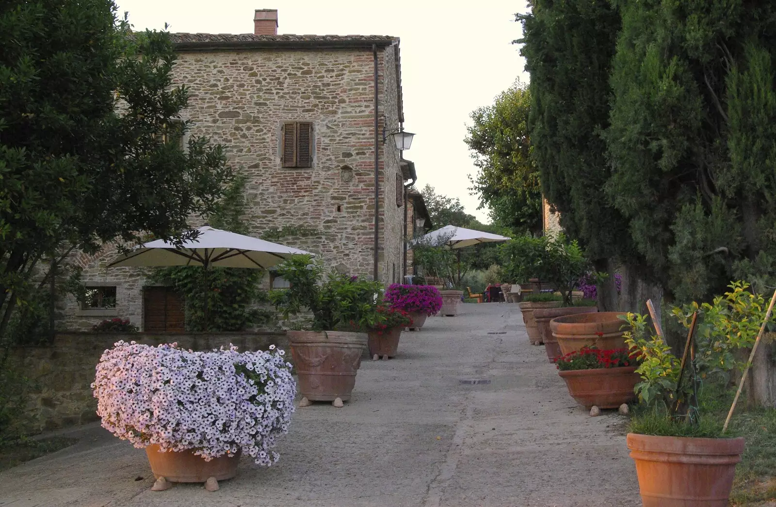 Massive pots around the apartments, from Tenuta Il Palazzo in Arezzo, Tuscany, Italy - 22nd July 2008