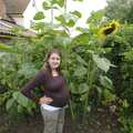 Isobel stands proudly by her giant sunflowers, The Cambridge Folk Festival, and The BBs at Billingford, Cambridge and Norfolk - 19th August 2008