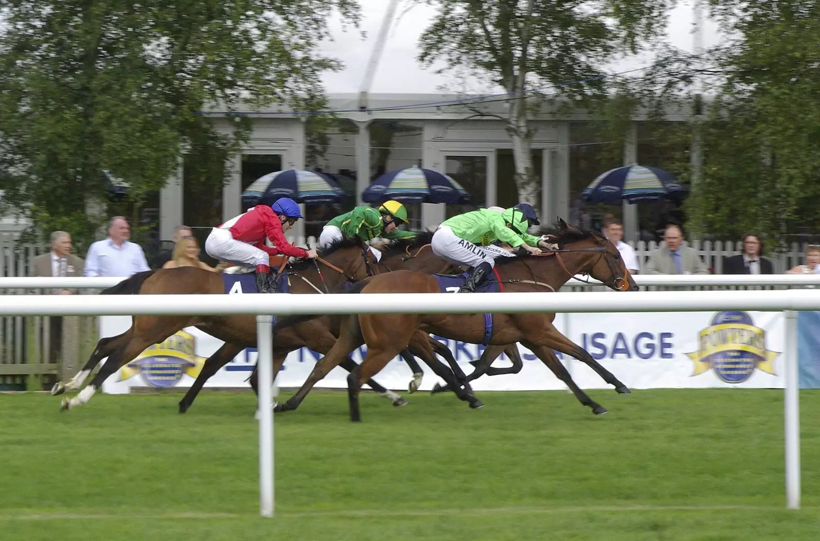 A throng of horses, from A Day At The Races, Newmarket, Suffolk - 23rd August 2008