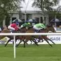 A throng of horses, A Day At The Races, Newmarket, Suffolk - 23rd August 2008