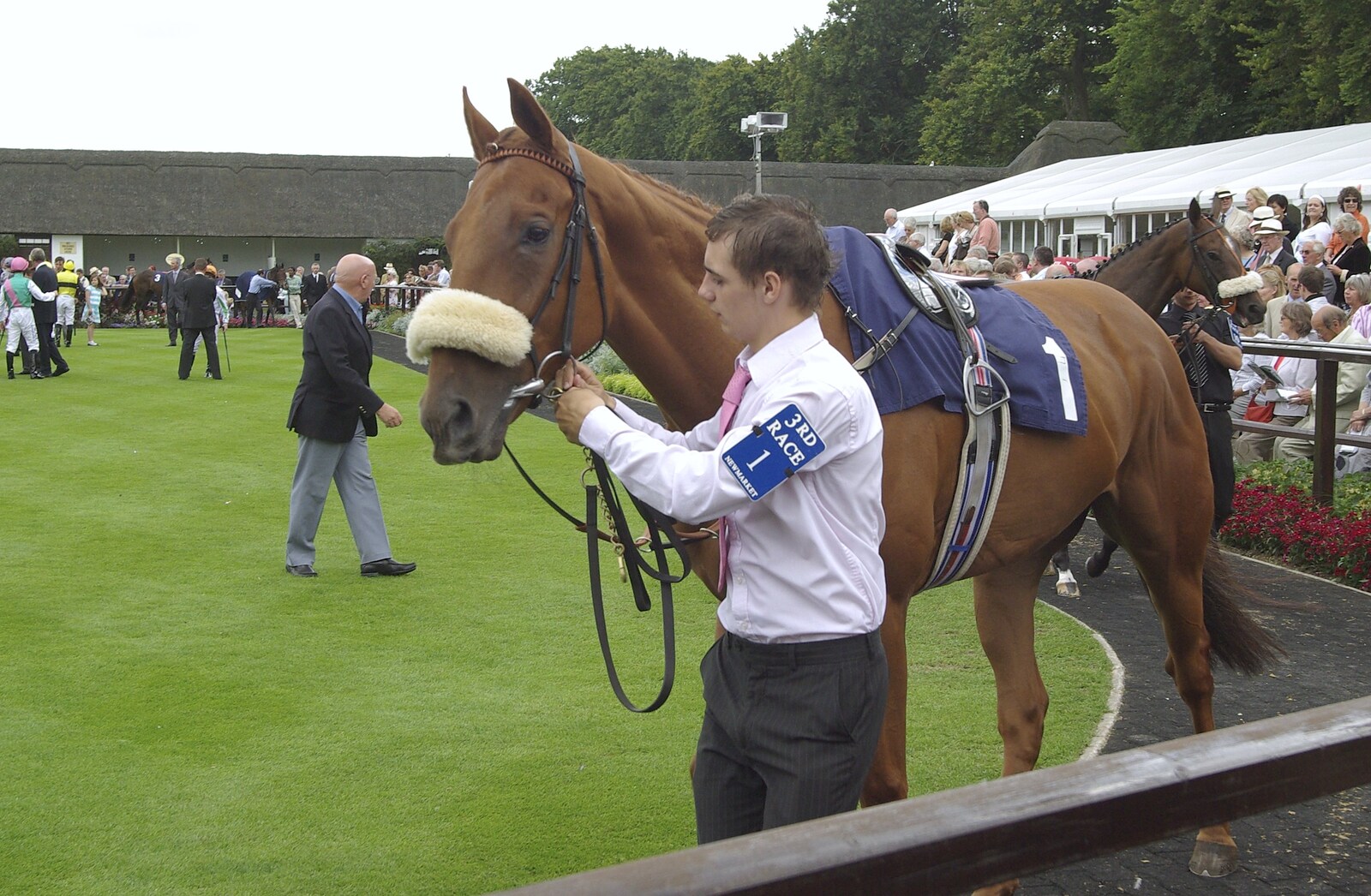 A Day At The Races, Newmarket, Suffolk - 23rd August 2008: A horse walks around the parade ring