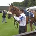 A horse walks around the parade ring, A Day At The Races, Newmarket, Suffolk - 23rd August 2008