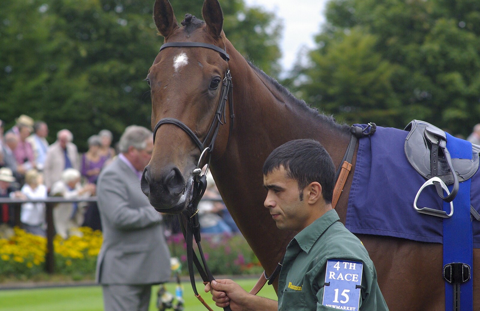 A perky-eared thoroughbread is paraded  from A Day At The Races, Newmarket, Suffolk - 23rd August 2008
