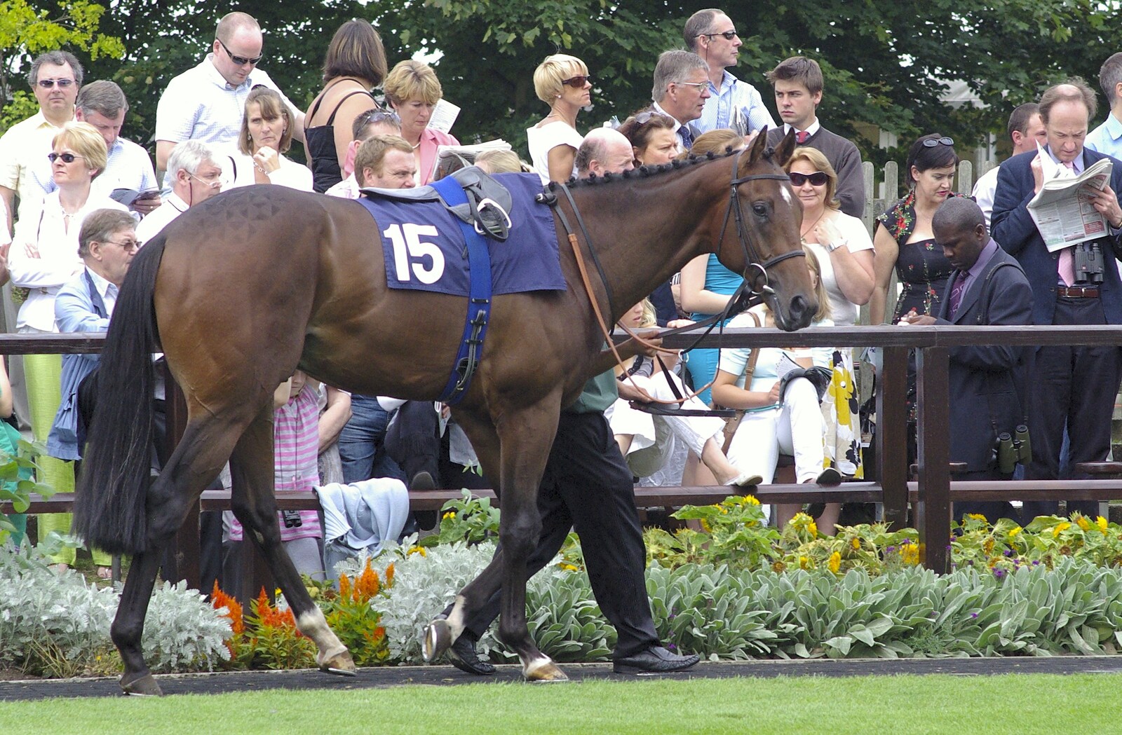 A Day At The Races, Newmarket, Suffolk - 23rd August 2008: Another impressive horse