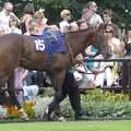 Another impressive horse, A Day At The Races, Newmarket, Suffolk - 23rd August 2008