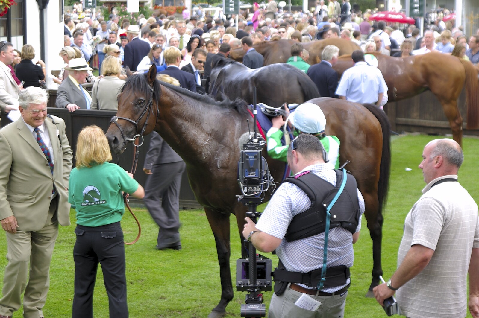 A Day At The Races, Newmarket, Suffolk - 23rd August 2008: A sweaty horse is filmed