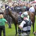 A sweaty horse is filmed, A Day At The Races, Newmarket, Suffolk - 23rd August 2008