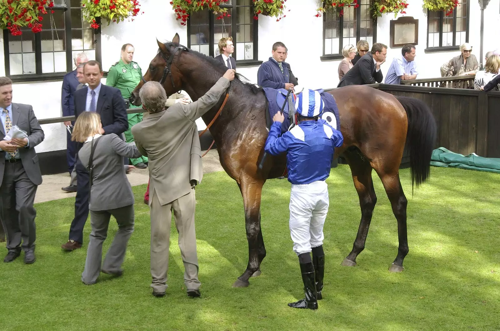 The winning horse, from A Day At The Races, Newmarket, Suffolk - 23rd August 2008