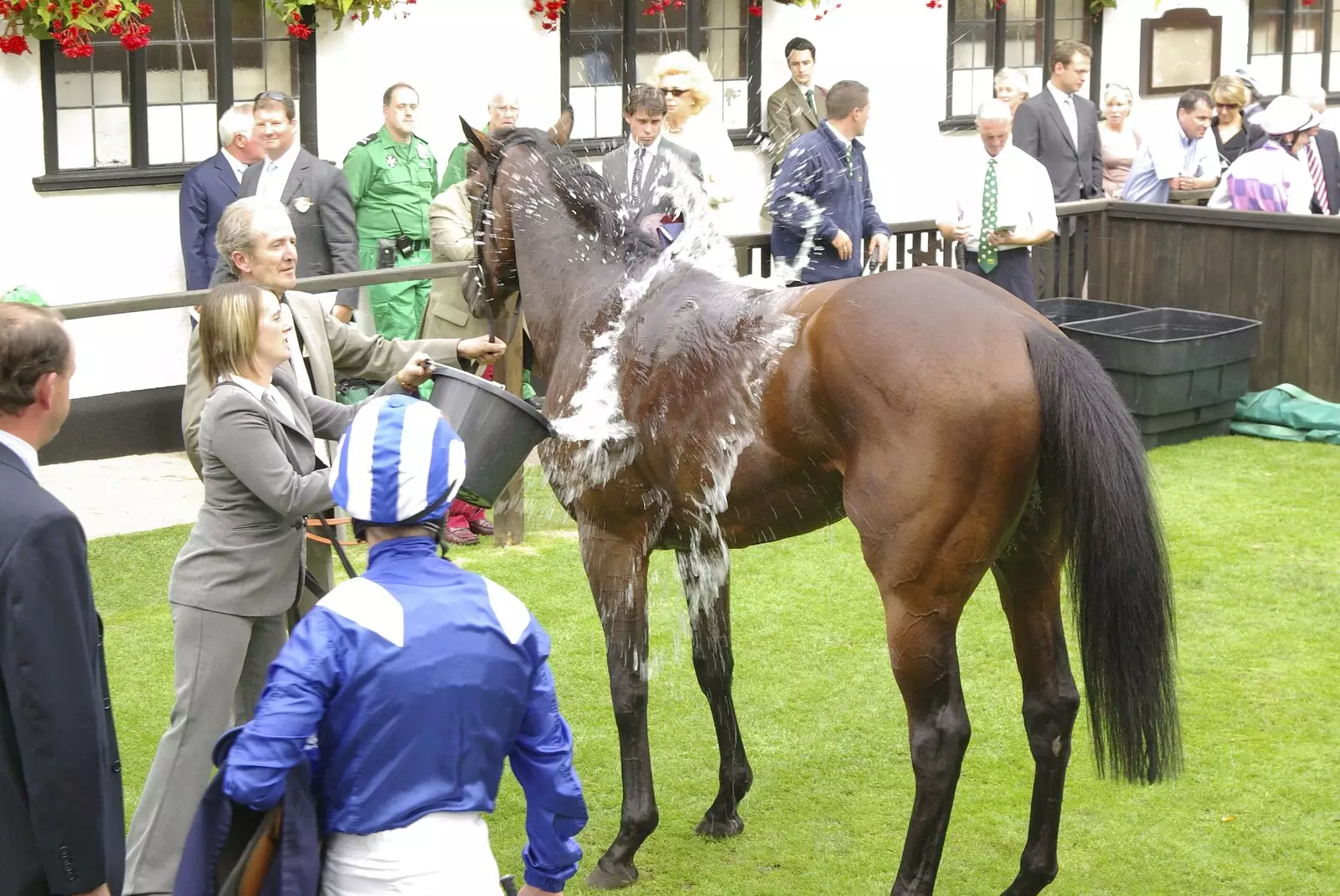 A horse gets a bucket of water after the race, from A Day At The Races, Newmarket, Suffolk - 23rd August 2008