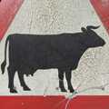 A sign warning of impending moo-cows has a nice, cracked, patina