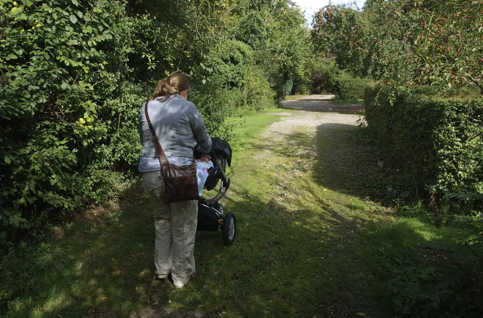 We take Fred for his first walk, from Jessica's Christening and Fred's First Outing, Thrandeston and Brome, Suffolk - 28th September 2008