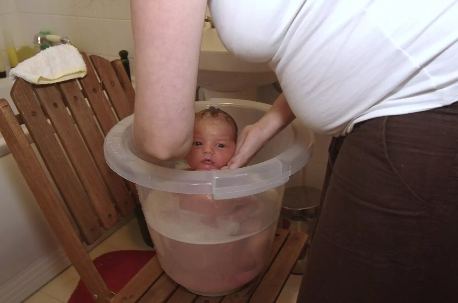 Fred's first bath - he doesn't look too keen, from Fred's Further Adventures, Ward Road, Cambridge - 10th October 2008