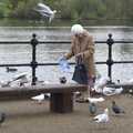 An old woman is mobbed by seagulls as she tries to feed the ducks