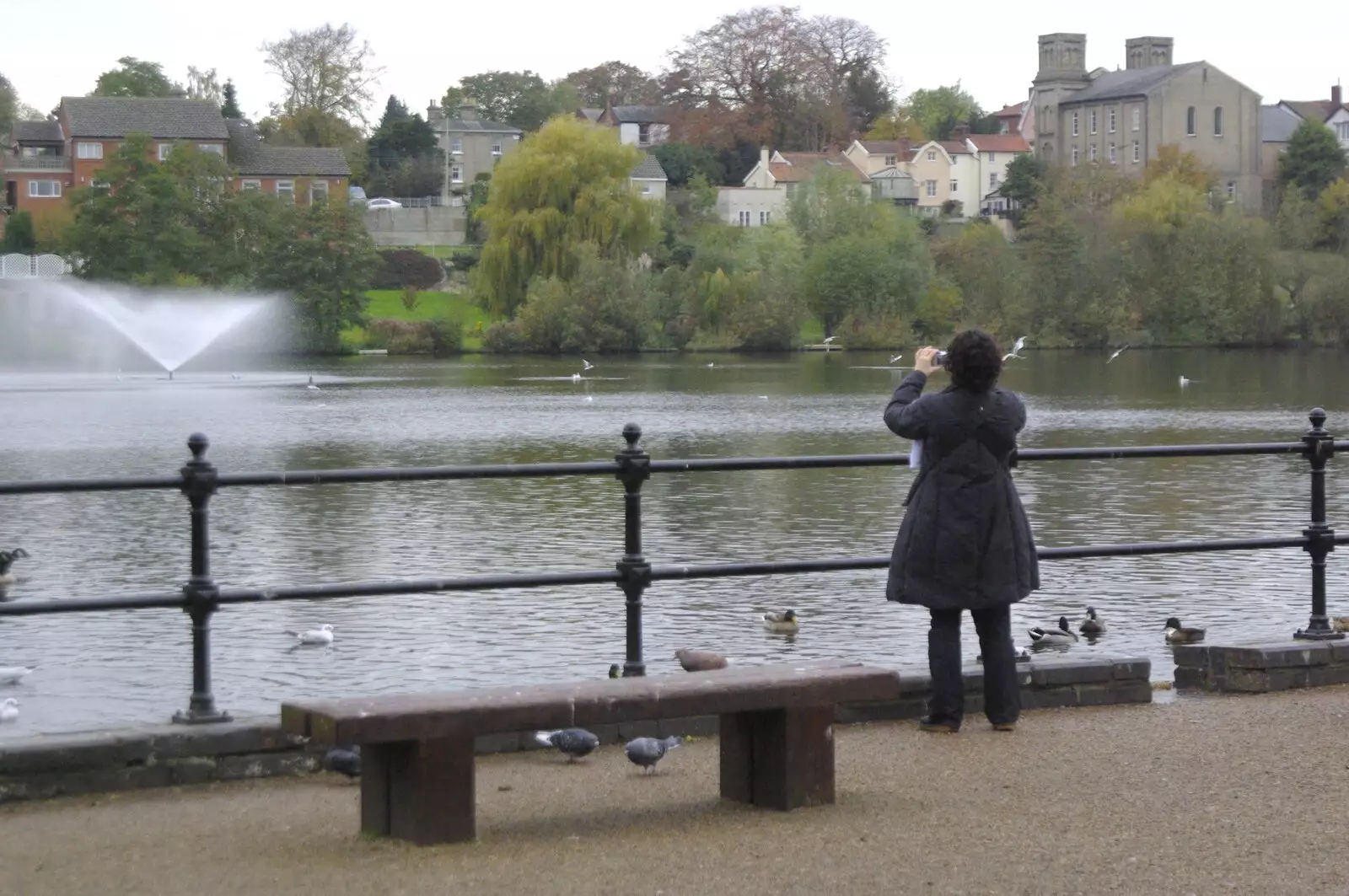 Evelyn takes some snaps of the Mere in Diss, from Isobel's Birthday and a Café Miscellany, Cambridge and Suffolk - 2nd November 2008