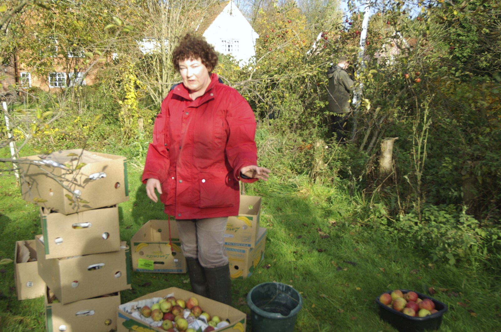 Louise lurks in the apple boxes from Bill and Carmen's Post-Wedding Thrash, Yaxley Cherry Tree, Suffolk - 8th November 2008