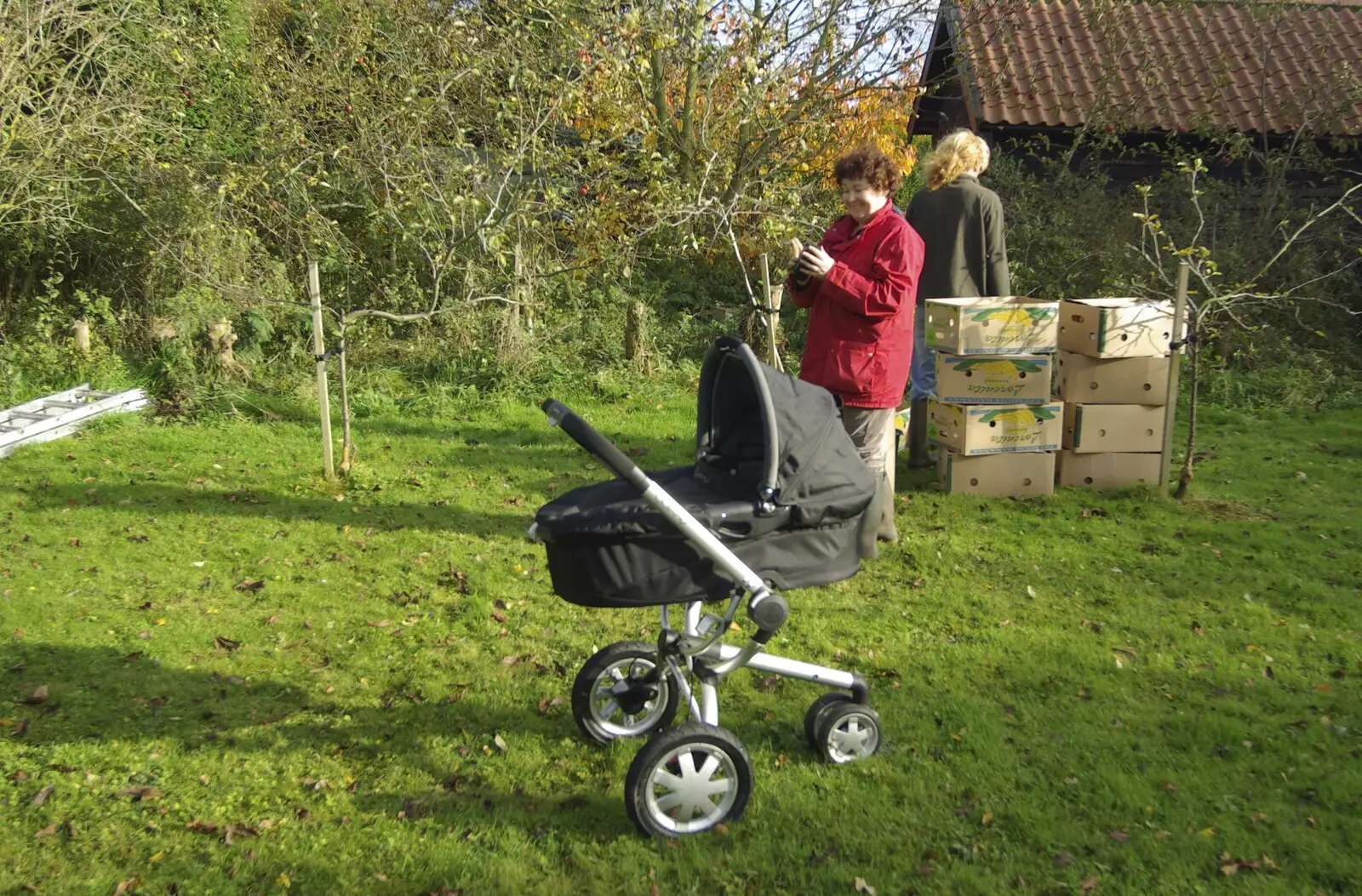 Fred's in the garden in a buggy, from Bill and Carmen's Post-Wedding Thrash, Yaxley Cherry Tree, Suffolk - 8th November 2008