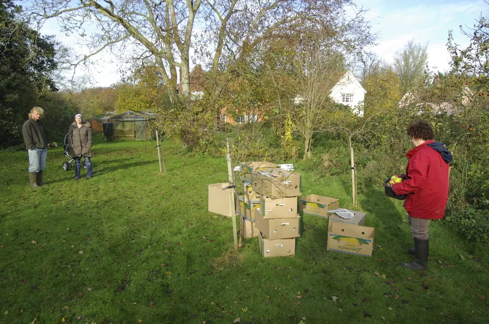 The apple harvest, from Bill and Carmen's Post-Wedding Thrash, Yaxley Cherry Tree, Suffolk - 8th November 2008