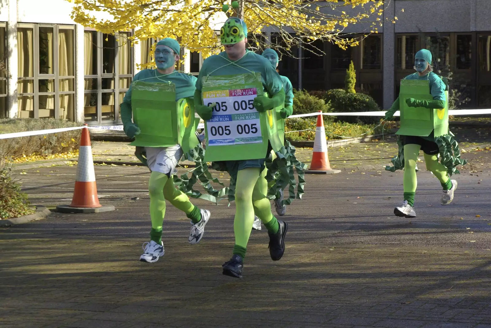 The Green team romps in, from The Cambridge Fun Run, Milton Road, Cambridge - 14th November 2008