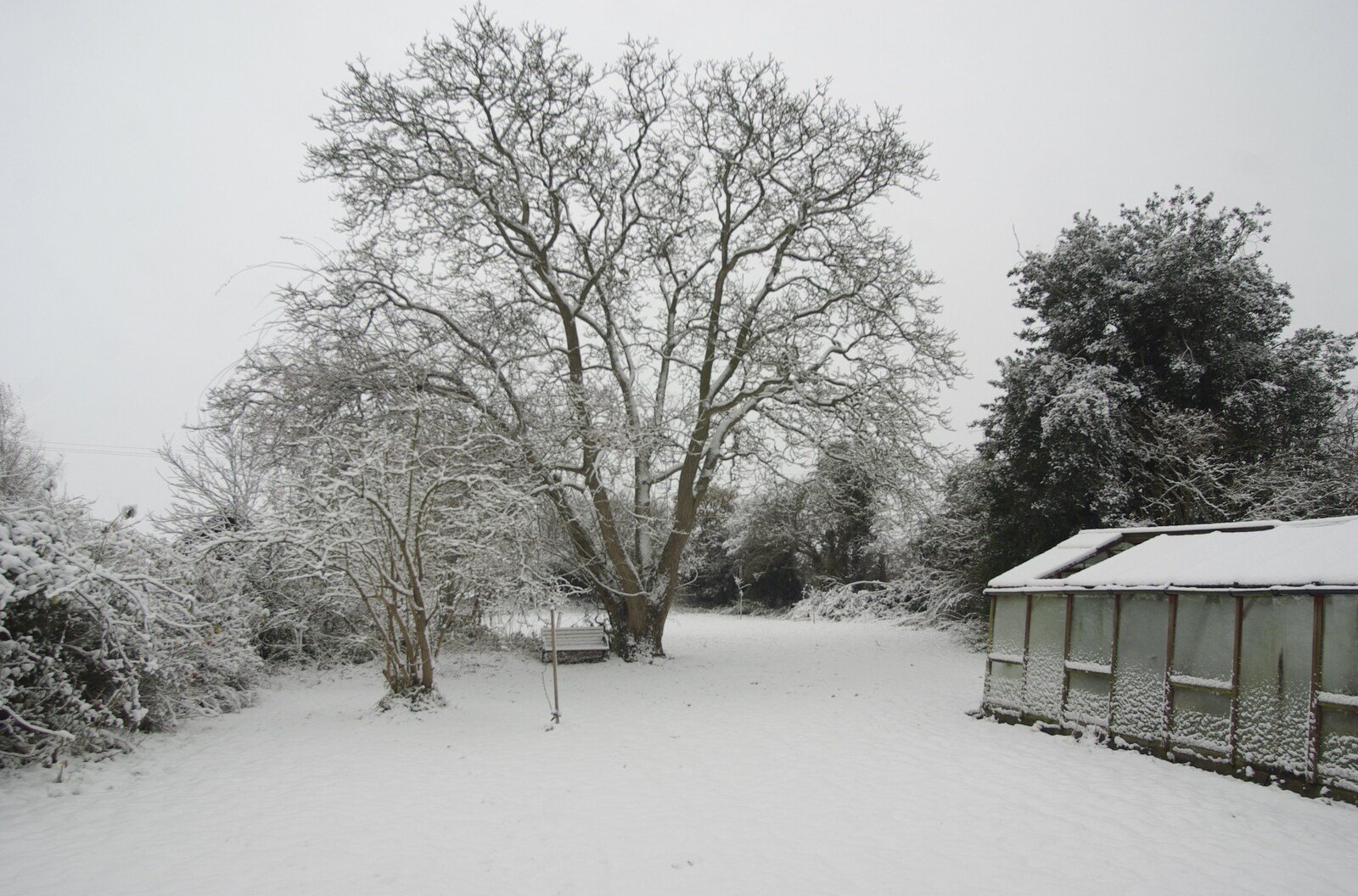 Snow Days, Brome, Suffolk - 22nd November 2008: The back garden the following morning