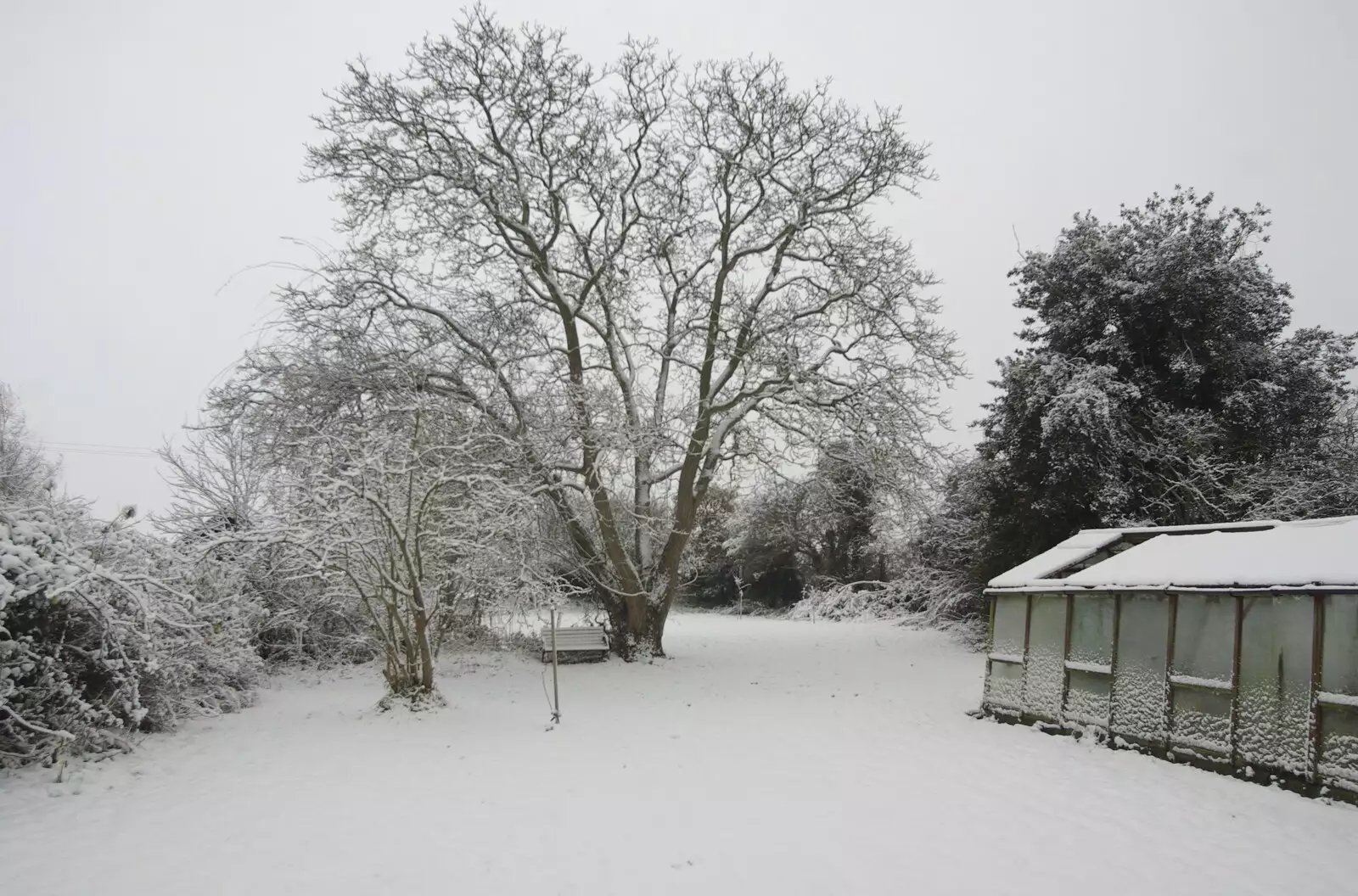 The back garden the following morning, from Snow Days, Brome, Suffolk - 22nd November 2008