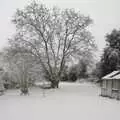 The back garden the following morning, Snow Days, Brome, Suffolk - 22nd November 2008