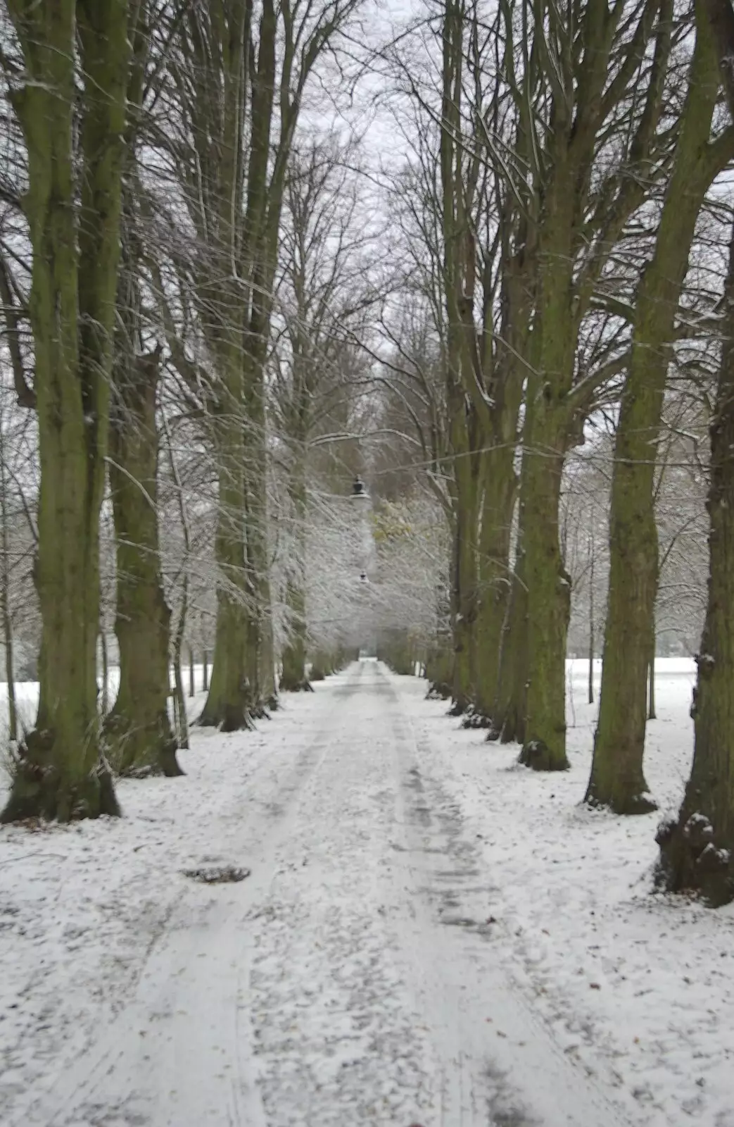 The Cornwallis's drive, from Snow Days, Brome, Suffolk - 22nd November 2008