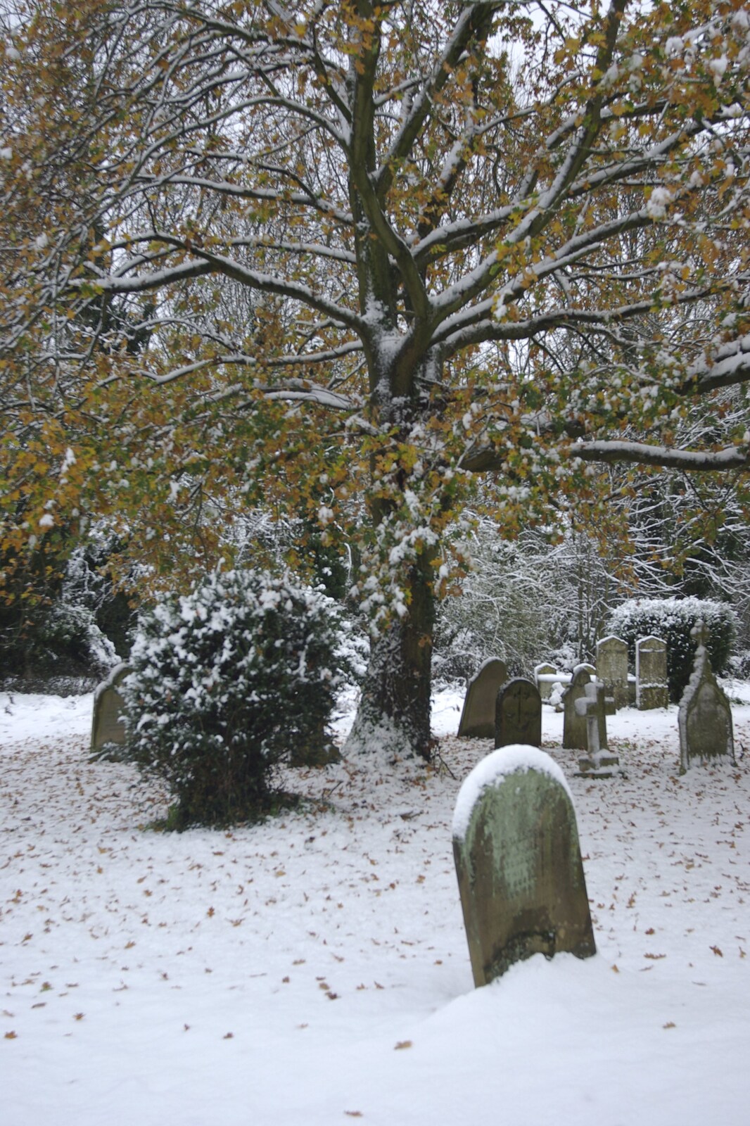 Snow Days, Brome, Suffolk - 22nd November 2008: A snowy graveyard