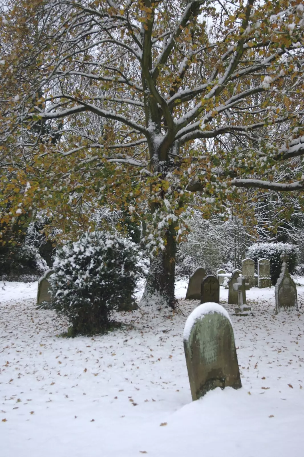 A snowy graveyard, from Snow Days, Brome, Suffolk - 22nd November 2008