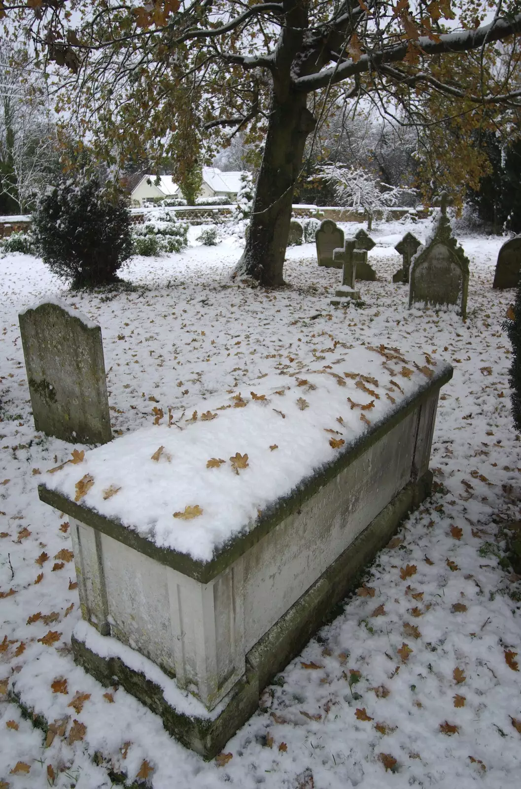 Orange leaves scatter on a snowy grave, from Snow Days, Brome, Suffolk - 22nd November 2008