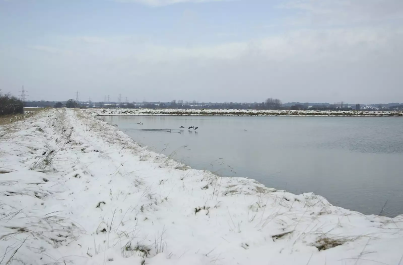 A frozen resevoir, from Snow Days, Brome, Suffolk - 22nd November 2008