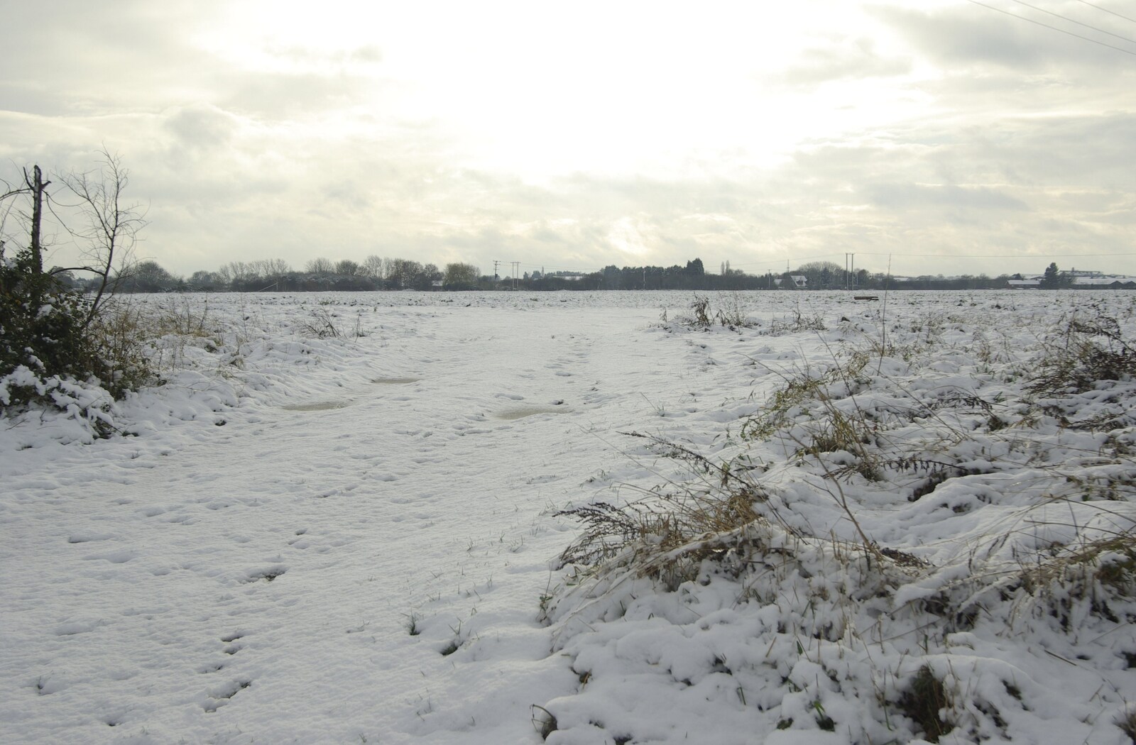 The snowy 100-acre field from Snow Days, Brome, Suffolk - 22nd November 2008