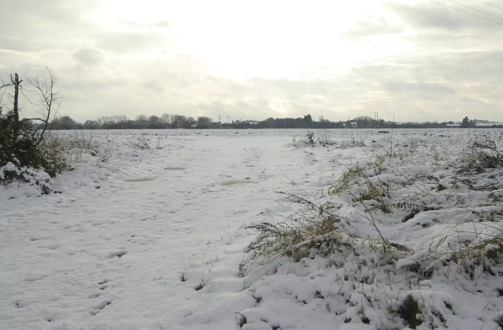 The snowy 100-acre field, from Snow Days, Brome, Suffolk - 22nd November 2008