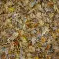 A nice carpet of brown leaves, A Walk in the Forest, and Visiting Grandmother, The New Forest, Hampshire - 28th November 2008