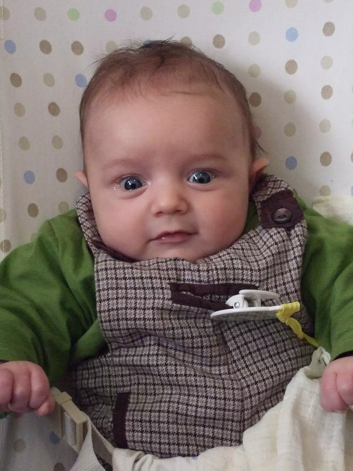 Fred in his bouncy seat, from Fred in Blackrock, Dublin, Ireland - 6th December 2008