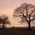 Sunset and trees, between Wetherden and Haughley Green, Kitchens, Carols and Mill Road Dereliction, Cambridge and Brome, Suffolk - 20th December 2008