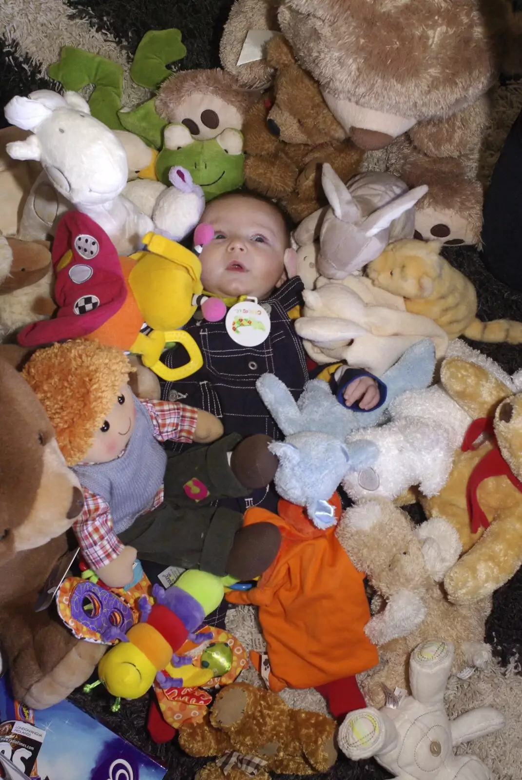 Fred is surrounded by some of his stuffed toys, from Fred's First Christmas, Brome, Suffolk - 25th December 2008