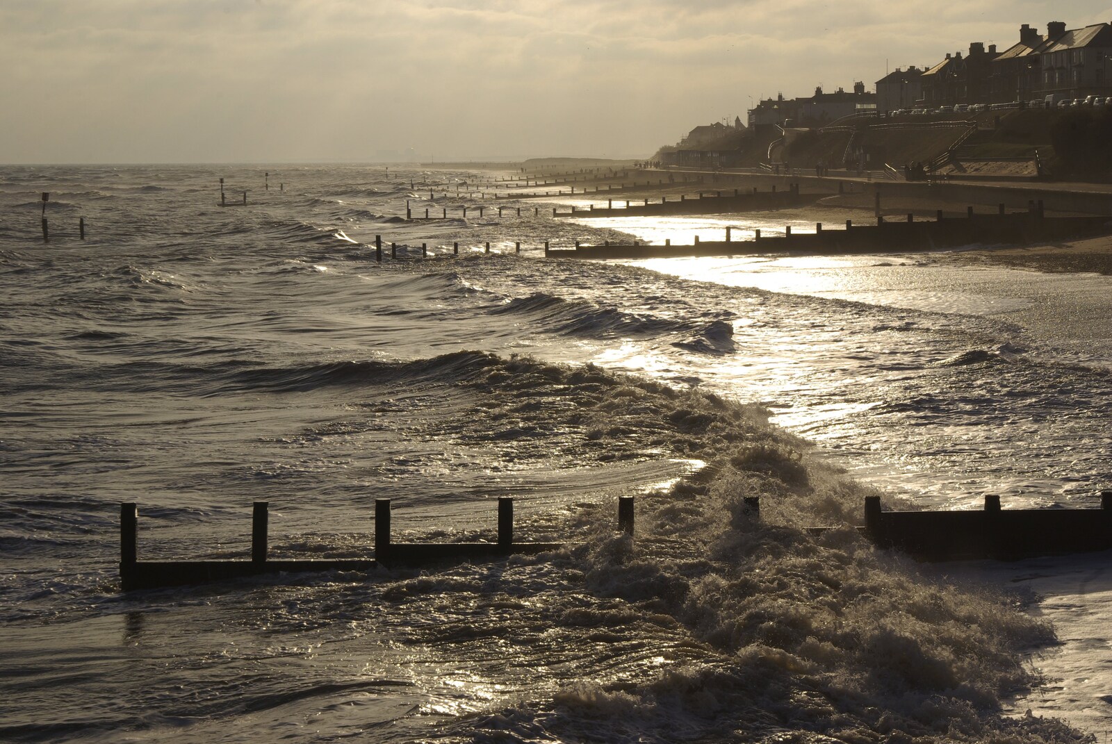 Groynes in the sun from To The Coast By Satnav, Southwold, Suffolk - 28th December 2008
