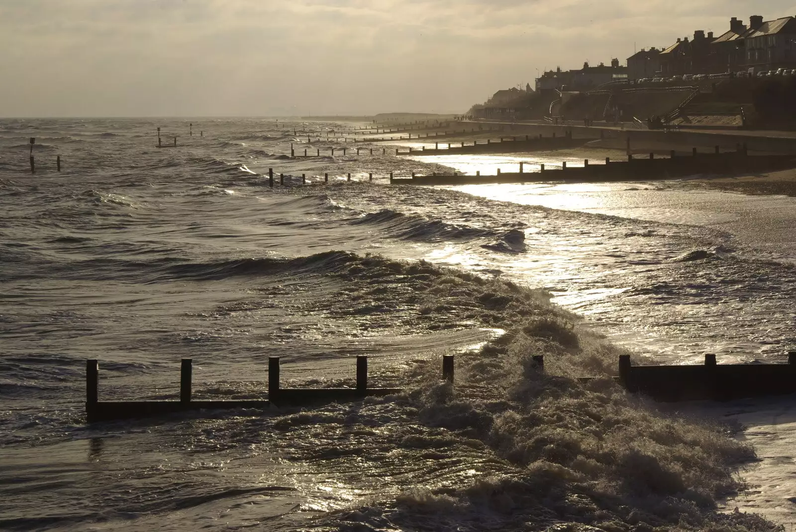 Groynes in the sun, from To The Coast By Satnav, Southwold, Suffolk - 28th December 2008