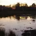 An evening pond, Zack's Birthday, and a Walk in the Forest, Cambridge and East Harling, Norfolk - 21st February 2009