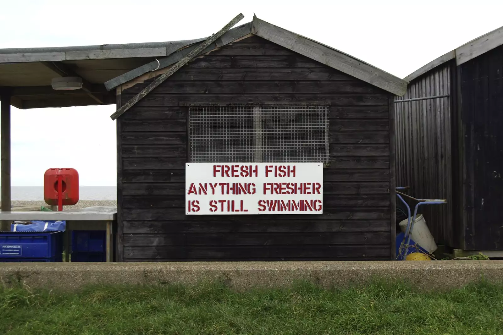 Amusing fish-related sign, from Aldeburgh Lifeboats with The Old Chap, and a Night at Amandines, Diss, Norfolk - 1st March 2009