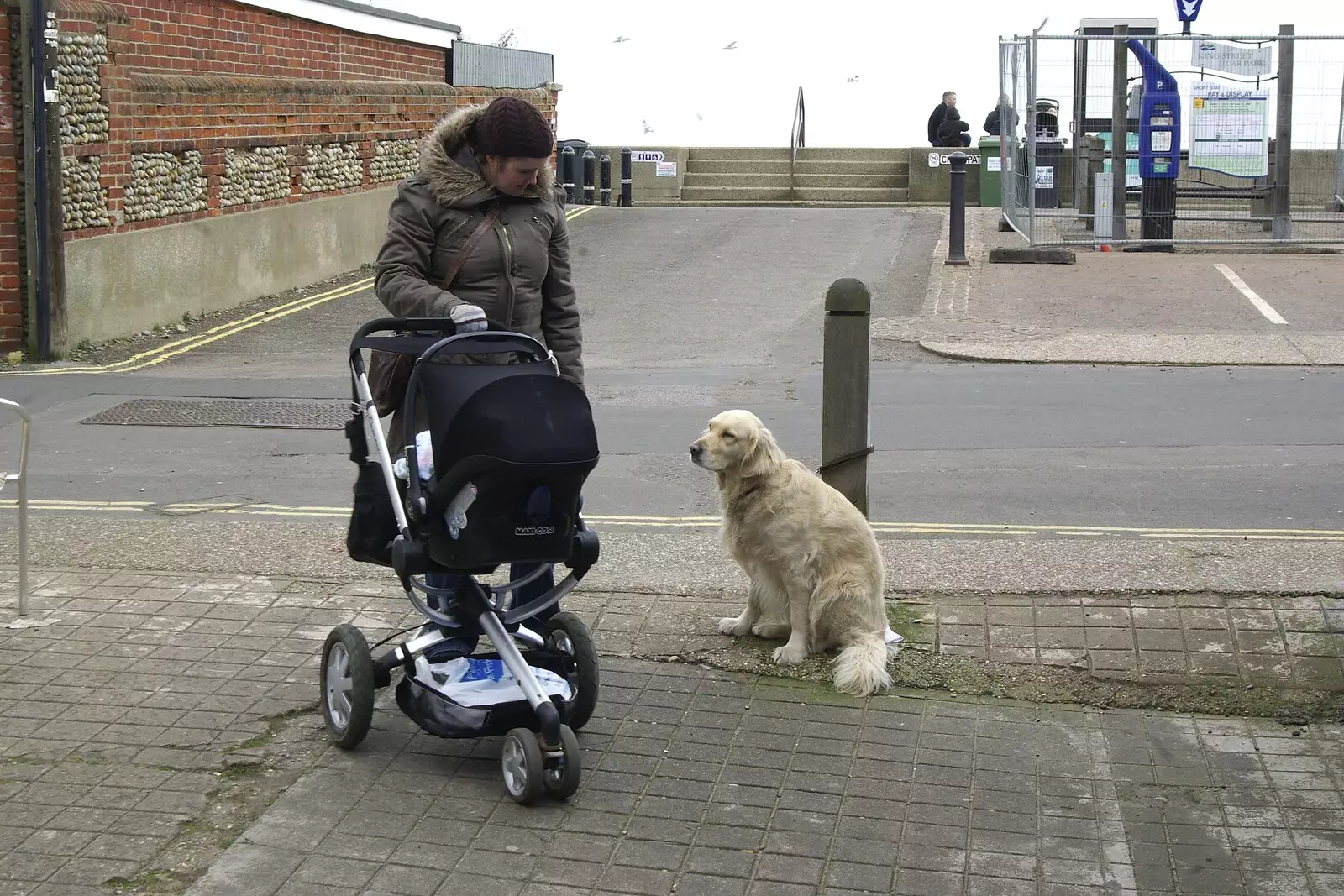 Isobel chats to a dog, from Aldeburgh Lifeboats with The Old Chap, and a Night at Amandines, Diss, Norfolk - 1st March 2009