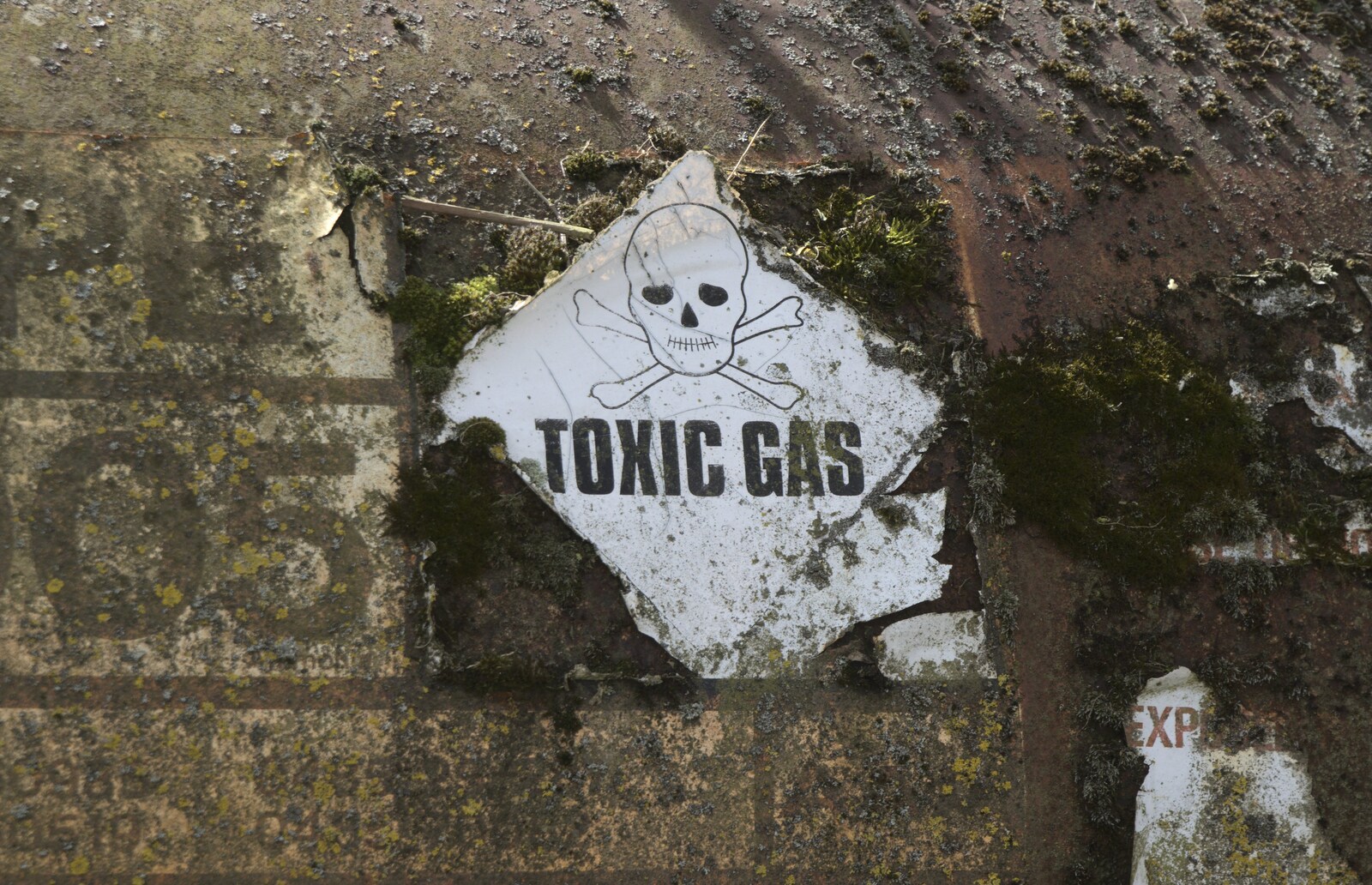 Toxic gas: Nosher has just guffed from Quiz Night, the Flat, and a Walk Around the Fields, North Lopham, Cambridge and Brome, Suffolk - 29th March 2009