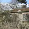 A derelict shed near the house, Quiz Night, the Flat, and a Walk Around the Fields, North Lopham, Cambridge and Brome, Suffolk - 29th March 2009