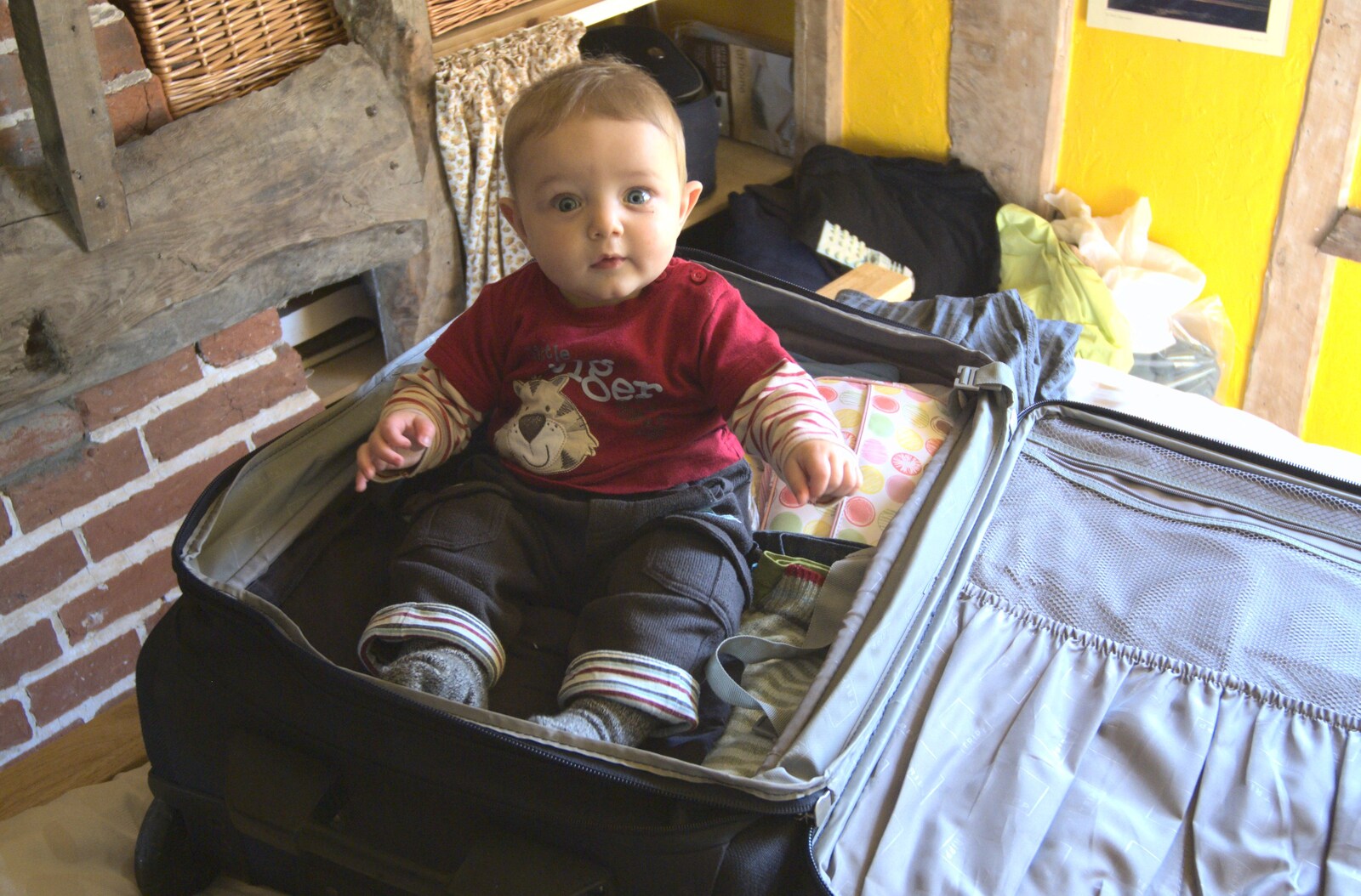 Fred gets in to the travelling mood in a suitcase from An Easter Weekend in Chagford, Devon - 12th April 2009