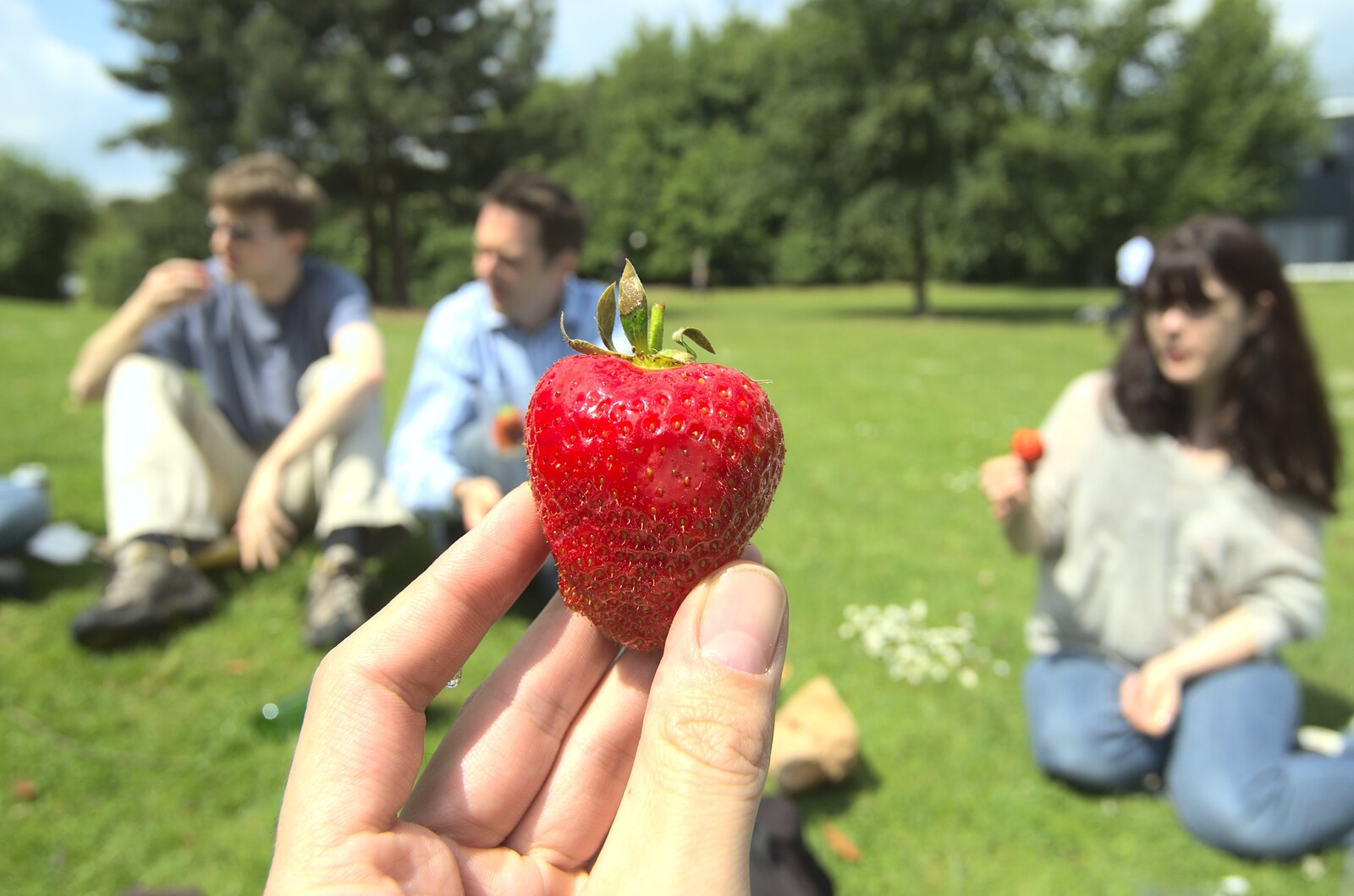 Nosher's got a giant strawberry from Taptu's Million Searches, and a Picnic, Science Park, Cambridge - 29th May 2009