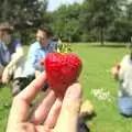 Nosher's got a giant strawberry, Taptu's Million Searches, and a Picnic, Science Park, Cambridge - 29th May 2009